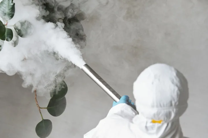 Equipamento de nebulização liberando névoa durante a aplicação