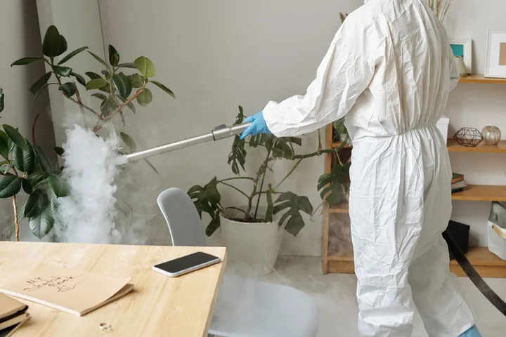 Aplicação de névoa desinfetante em uma sala de estar com plantas e mobiliário